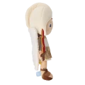 Swietulanka_biala_prawyprofil.png